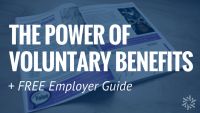 voluntary benefits and guide