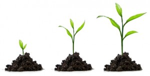 plants-growth